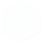 Bleaching Digital Twin